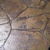 Stamped Concrete